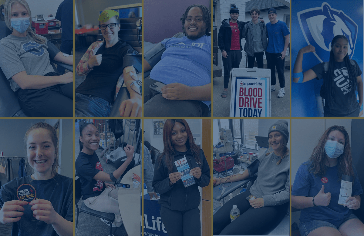 photo grid of donors