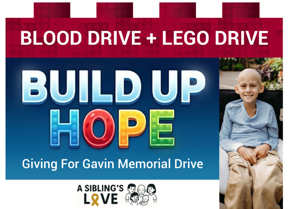 Giving for Gavin Blood & LEGO Drive