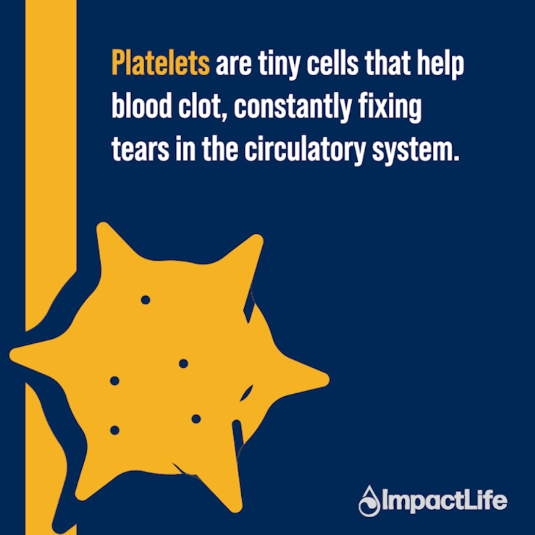 Blood Is Medicine platelets graphic