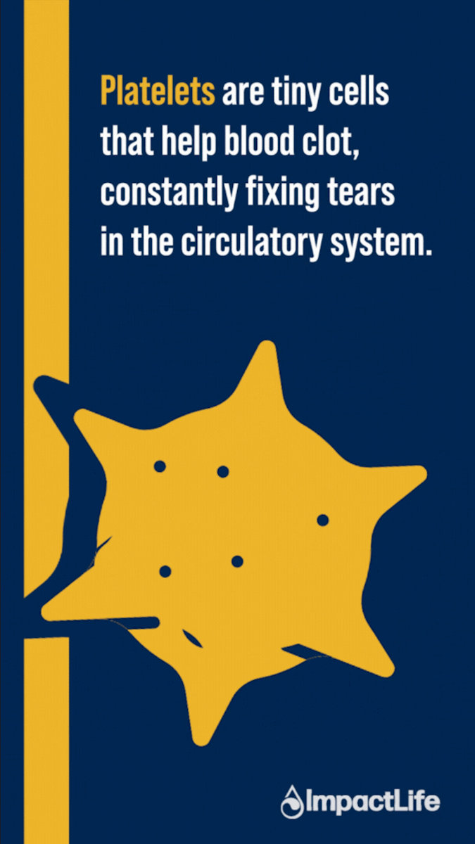 Platelet - Instagram Story