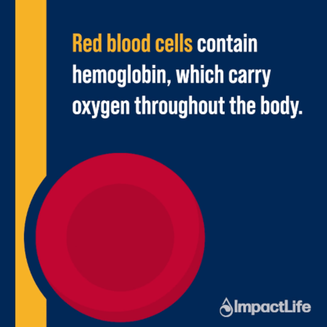 Blood Is Medicine red blood cells graphic