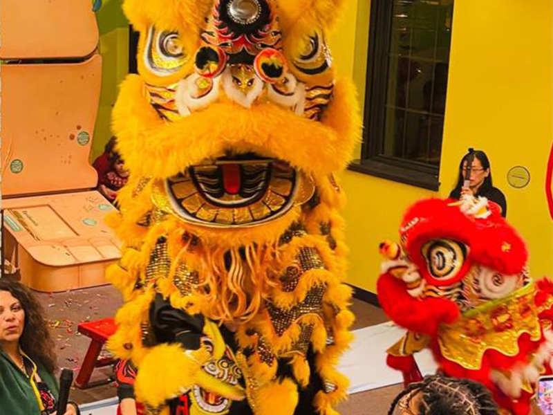 Xin Nián Kuài Lè! (Happy Lunar New Year!)