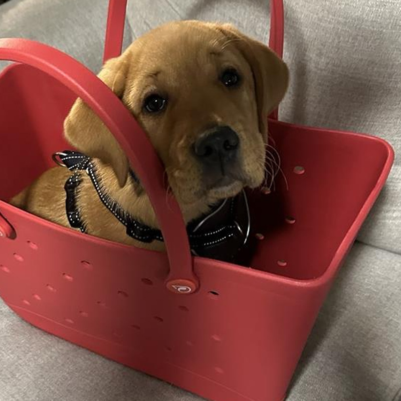 Donor Store - Red Tote 1