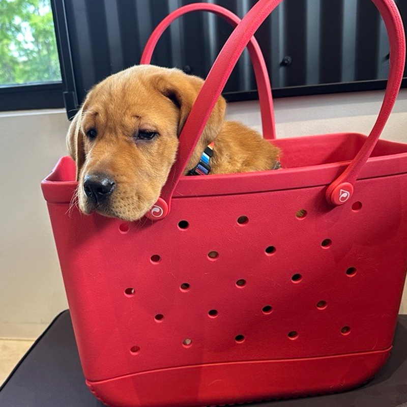Donor Store - Red Tote 2