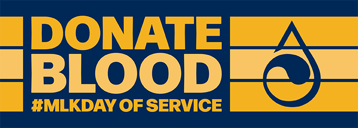 MLK day of service graphic