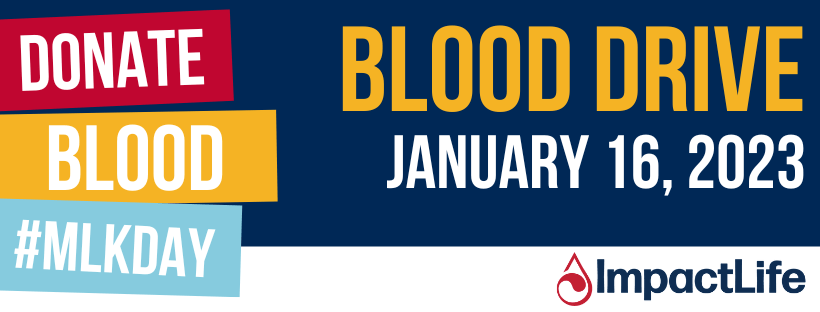 MLK Day of Service banner