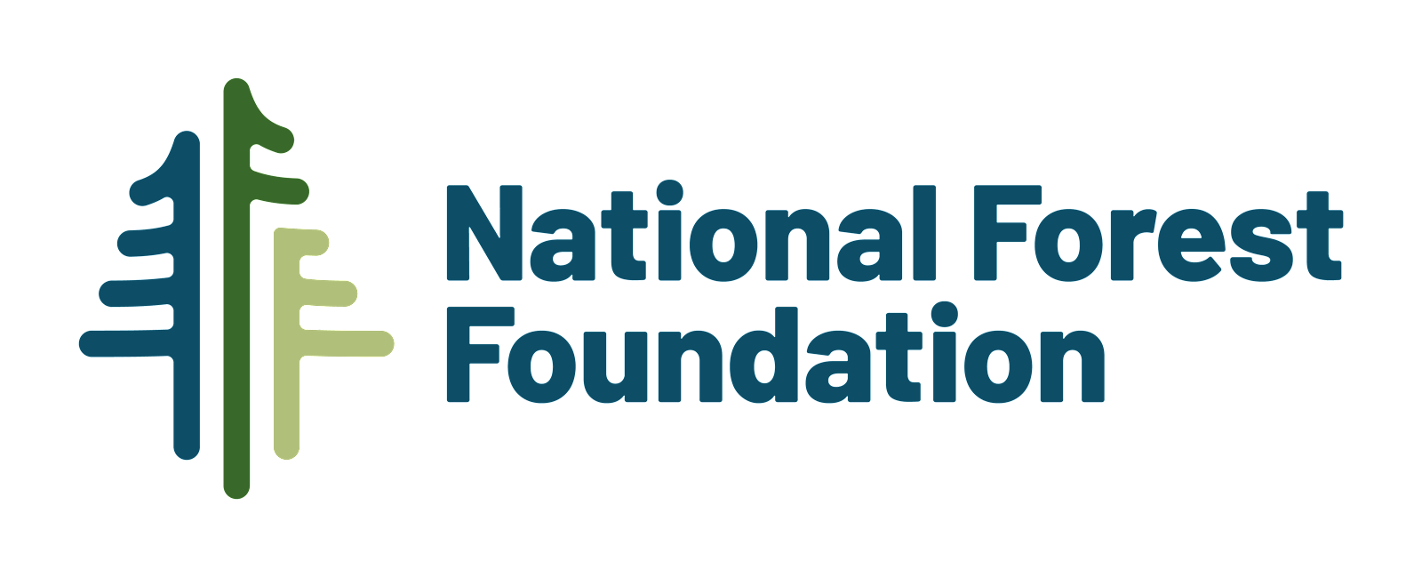 NFF full logo