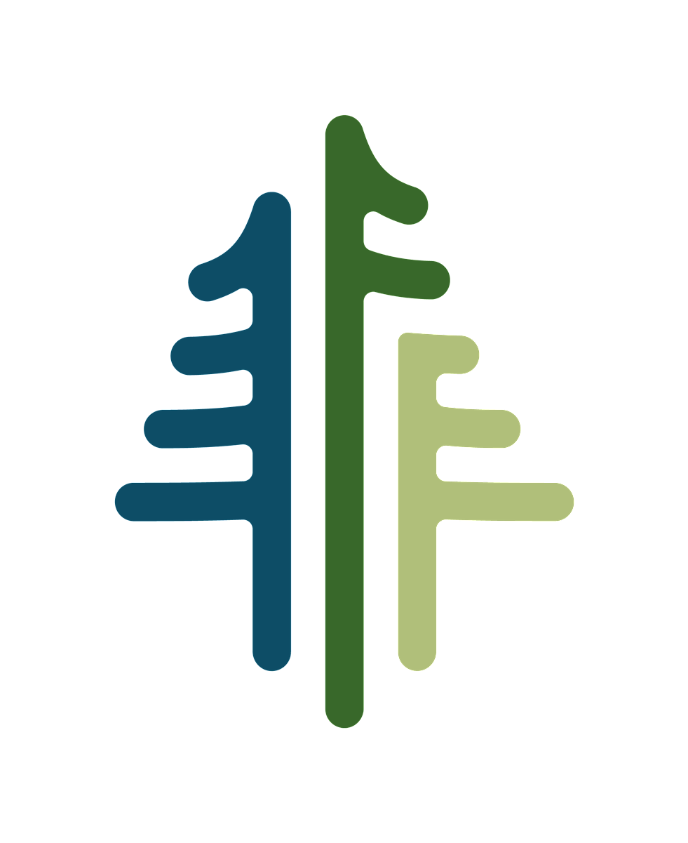 NFF emblem