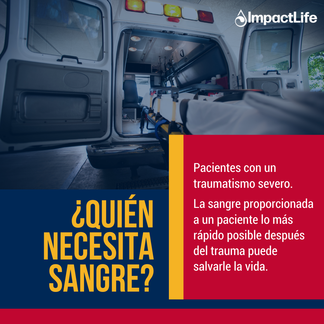 /sangre toolkit image 2