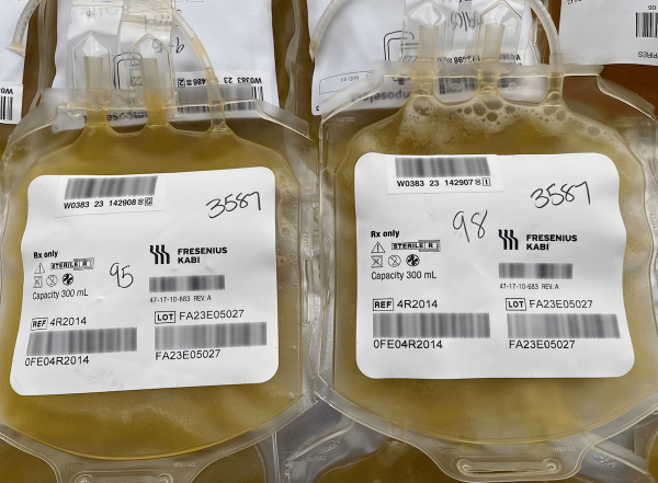 image of donated platelets bags 
