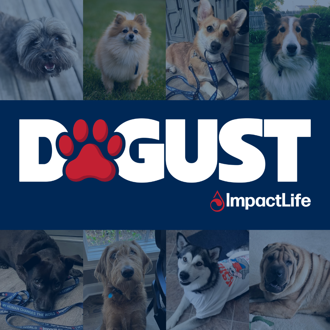 Dogust collage graphic